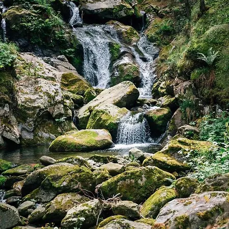 Отель Bad Fallenbach